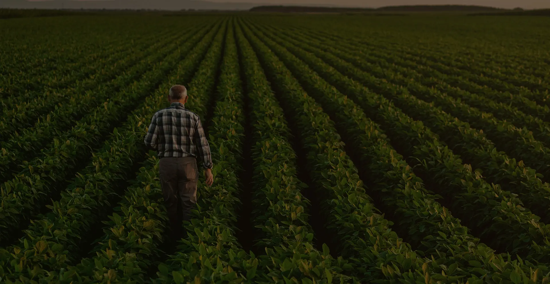 TOUTE-L-ACTU-AGRICOLE-ET-LES-NEWS-DES-ACTEURS-DU-MONDE-AGRICOLE-4